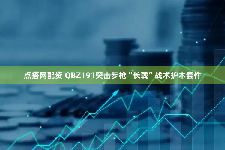 点搭网配资 QBZ191突击步枪“长戟”战术护木套件