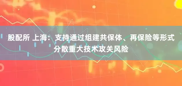 股配所 上海：支持通过组建共保体、再保险等形式分散重大技术攻关风险