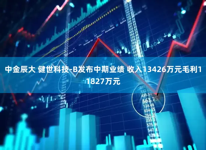 中金辰大 健世科技-B发布中期业绩 收入13426万元毛利11827万元