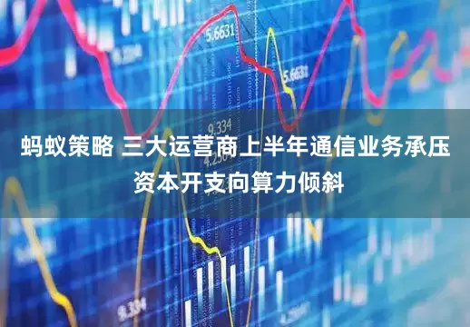 蚂蚁策略 三大运营商上半年通信业务承压 资本开支向算力倾斜